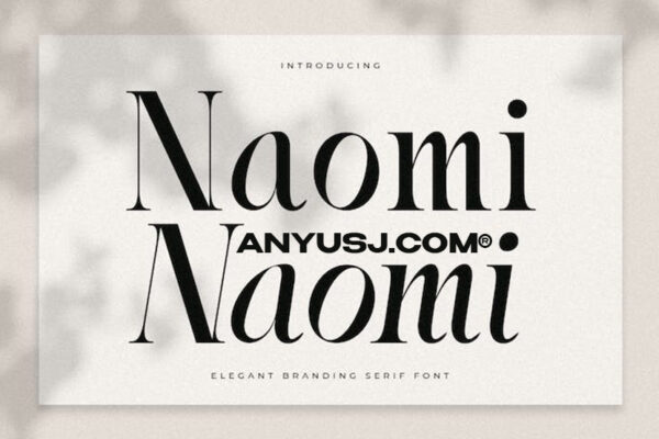 复古优雅杂志徽标Logo英文衬线字体设计素材Naomi – Elegant Branding Serif Font-第3194期-