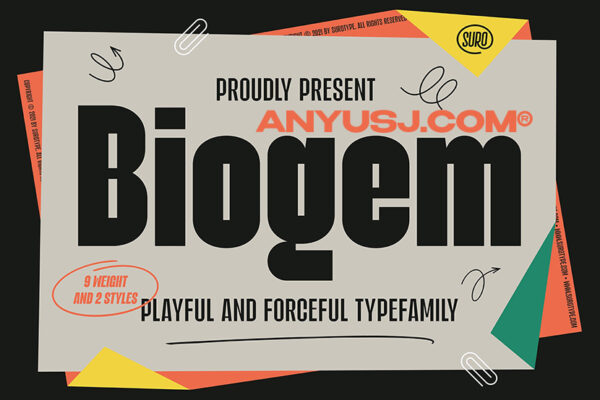 18款趣味俏皮粗体复古手写创意艺术西文排版徽标字体家族Biogem – Font Family-第3265期-
