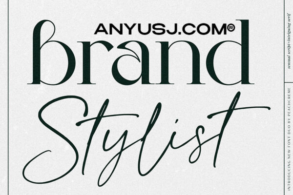 2款复古优雅艺术手写海报排版标题logo品牌VI西文字体组合Brand Stylist  luxe duo font-第3292期-