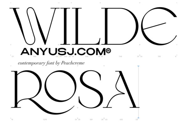 复古优雅艺术衬线海报排版标题logo品牌VI西文字体Wilde Rosa – Contemporary & Chic – by PeachCreme-第3292期-
