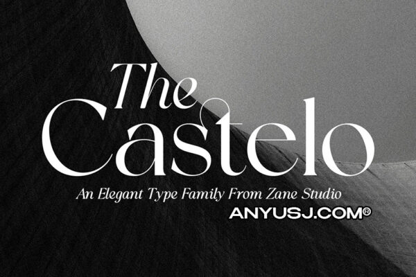 4款复古优雅艺术海报排版标题logo品牌VI西文字体家族Castelo Serif-第3394期-