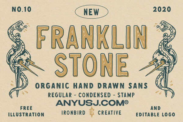 美式复古颗粒做旧印刷趣味插画海报画册排版logo标题徽标设计手绘无衬线西文字体Franklin Stone + Extras-第3682期-