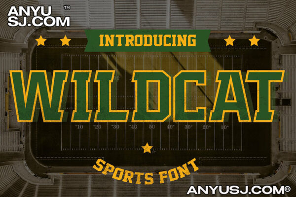 复古重型篮球字母运动海报排版logo徽标衬线西文字体Wildcat – Varsity Sport Typeface-第3550期-