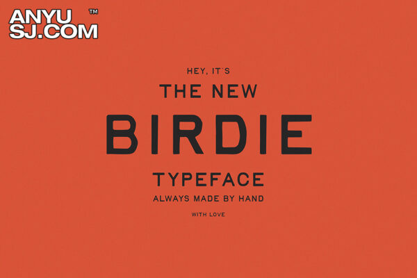 复古打印独特极简海报排版徽标logo设计无衬线西文字体Birdie  Vintage Print Font-第3766期-