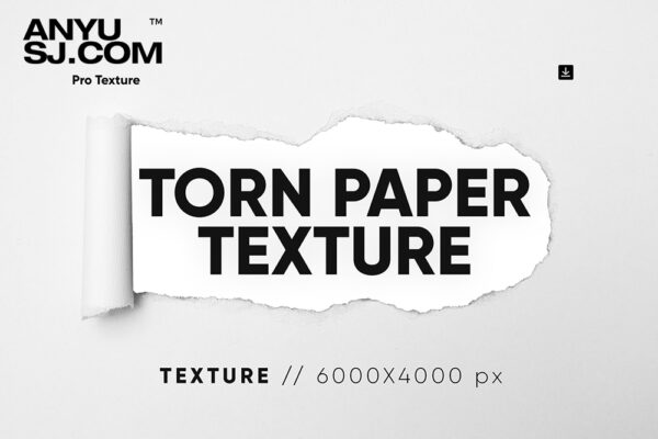10款创意复古白色纸张撕裂做旧艺术PNG背景肌理10 Torn Paper Textures-第3900期-