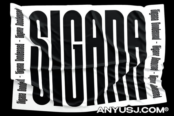 现代浓缩极简艺术西文海报logo标题排版无衬线字体Sigana – Modern Display Font-第4137期-