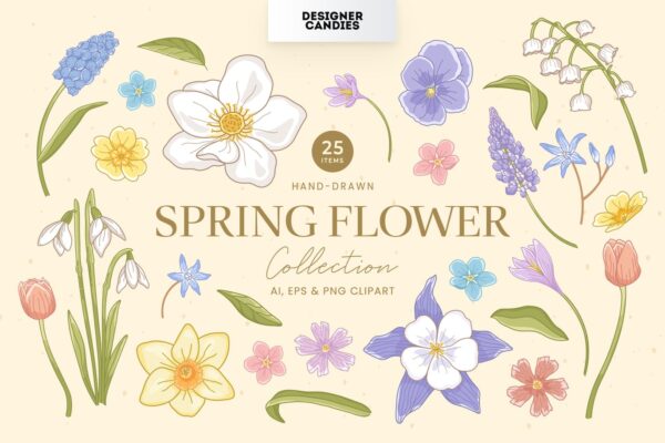 25款春季春天花卉植物花朵花瓣矢量手绘AI插画元素Spring Flower Illustration