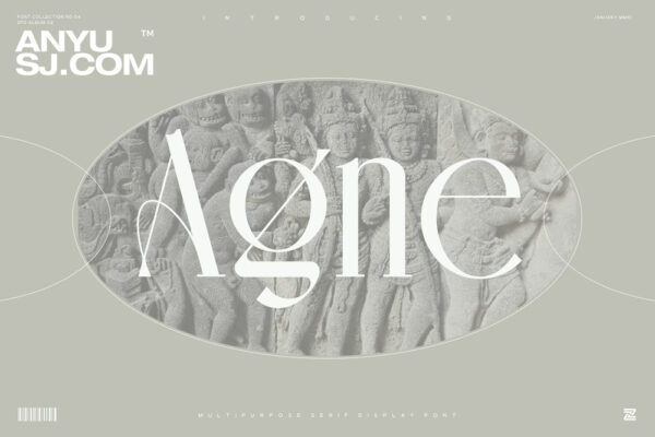 现代优雅杂志标题Logo无衬线英文字体设计素材 Agne Font-第1046期-