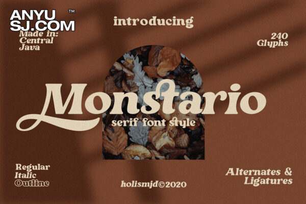 优雅经典海报标题徽标Logo粗体衬线英文字体素材 Monstario Serif-第1046期-