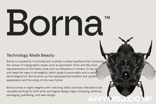 8款现代主义油墨补偿极简无衬线海报画册排版logo西文字体Borna™ Font-第4764期-
