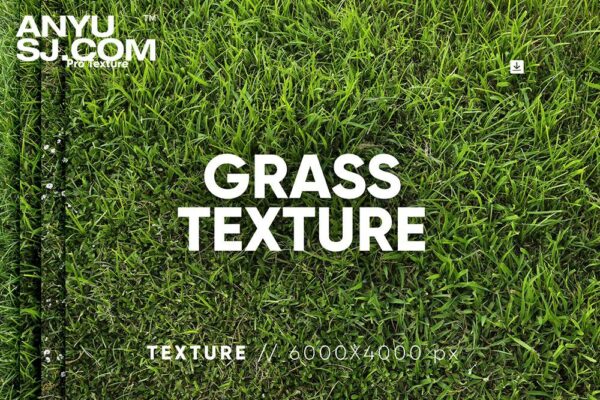 30款高清绿色草地植物绿植背景肌理图片套装30 Grass Texture HQ