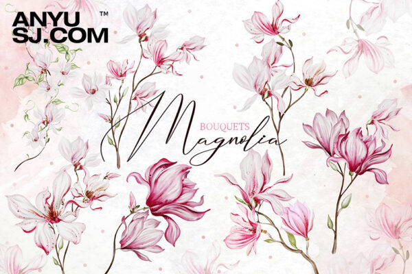 8款手绘水彩优雅玉兰花花束花朵花卉PNG免扣插画插图设计元素Magnolia bouquet 2