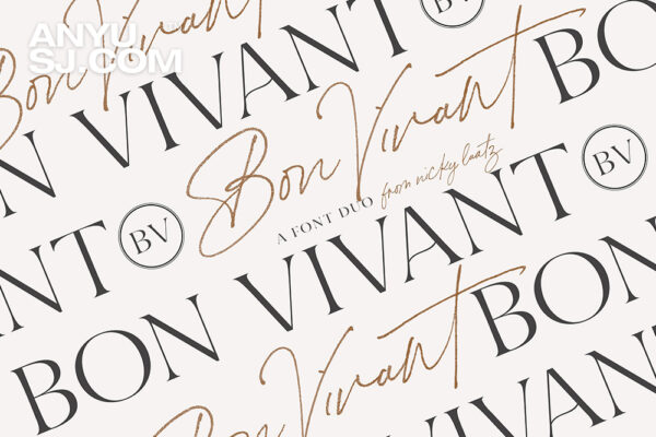 3款现代奢华优雅流畅潇洒手写字体/衬线西文标题排版字体组合套装Bon Vivant Font Family
