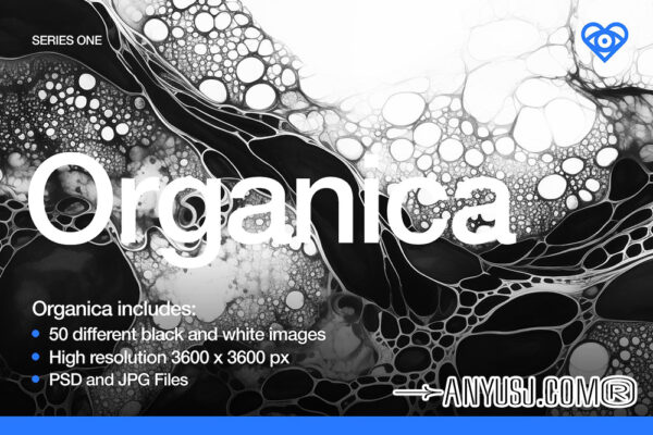 50款高分辨率黑白有机水墨自然晕染抽象艺术背景肌理图片套装50 Black and White Organic Textures