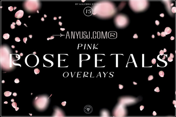 15款浪漫情人节七夕粉色玫瑰花飘落背景元素叠加肌理Pink Rose Petals Overlays