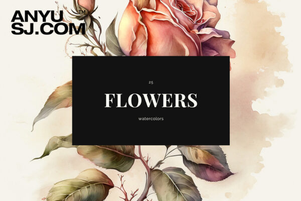 25款水彩手绘花卉花朵艺术品插画插图背景图片壁纸墙纸设计套装Watercolor Flowers Collection