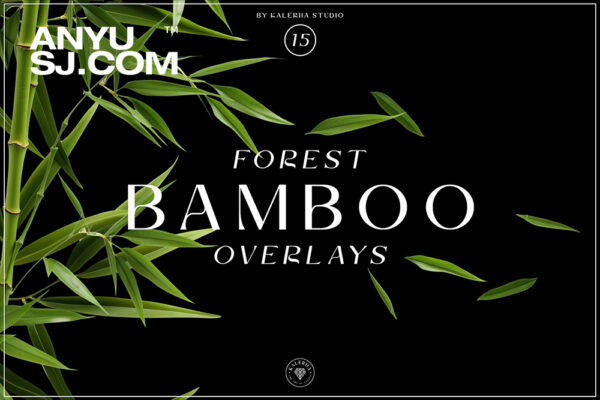 15款高清竹叶竹子竹林PNG免扣叠加背景元素图片Bamboo Forest Overlays
