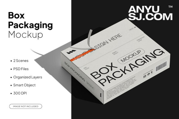 2款极简包装盒纸盒礼盒礼品盒PSD样机Box Packaging Mockup