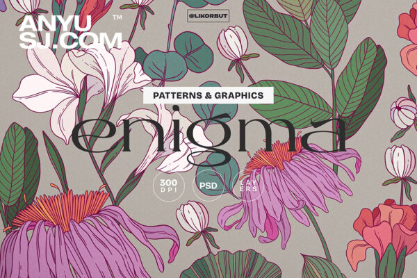 13款手绘优雅花卉花朵植物PNG免扣插画无缝图案印花设计套装Enigma. Floral Pattern and Graphics-第6517期-