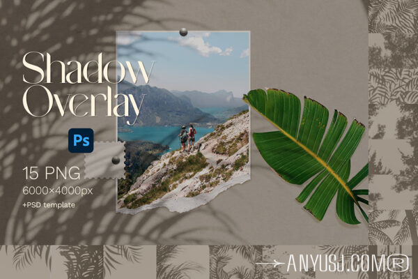 15款自然植物树叶墙壁投影阴影叠加背景肌理纹理套装Shadow Overlays