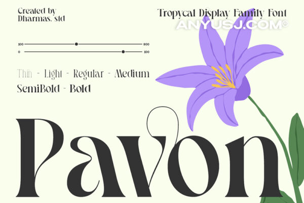 6款20世纪新艺术风格精致逆反差趣味衬线西文字体家族Pavon – Tropical Display Family-第6952期-
