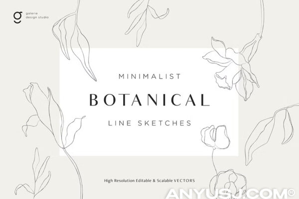 现代极简优雅植物花朵花卉AI矢量线条插画插图设计套装Minimalist Botanical Line Sketches