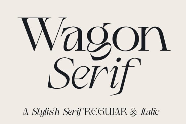 现代品牌标题徽标logo设计衬线英文字体Wagon Display Serif+Italic-第1814期-