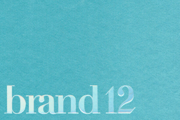 【设计灵感】Brand#12  电子版设计参考资料PDF 设计必备素材-第7303期-