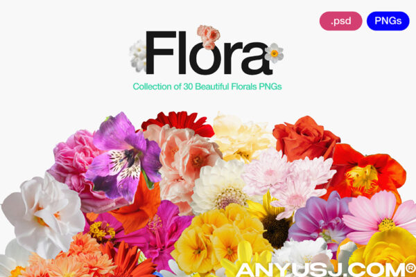 30款高精度复古拼贴艺术花卉花朵PNG免扣元素插图设计套装Flora 0.1-第7238期-