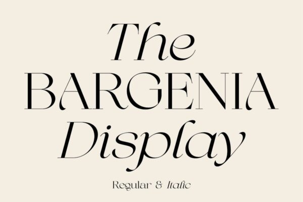 2款现代奢华美学优雅柔和曲线标题排版衬线西文英文字体Bargenia-第7233期-