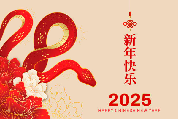 12款2025新年蛇年春节除夕EPS矢量海报手绘插画图案插图源文件合集Year of Snake banners 20-第8610期-