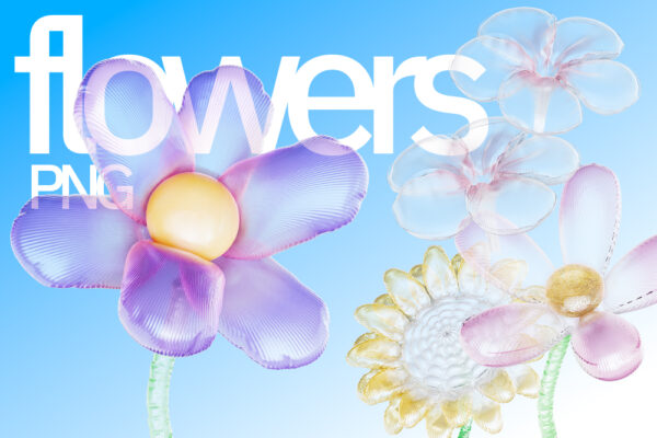 30款3D透明立体塑料花朵花卉植物PNG免扣图片插画设计套装3D Plastic Flowers Illustration Set